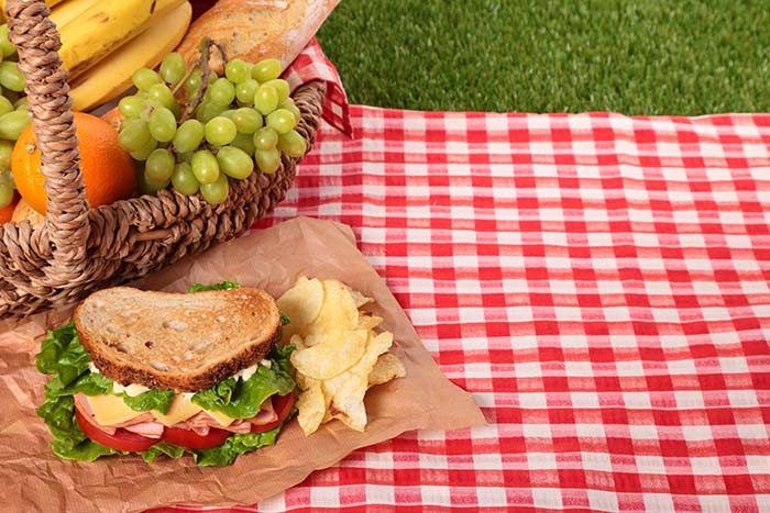picnic definicion